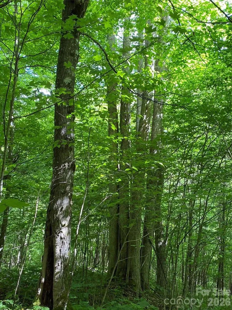 10 Mountain Gait Drive Mars Hill NC 28754