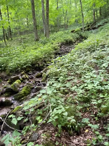 10 Mountain Gait Drive Mars Hill NC 28754