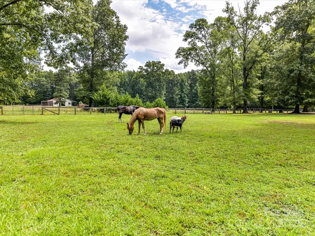 8817 Maggie Robinson Road Waxhaw NC 28173