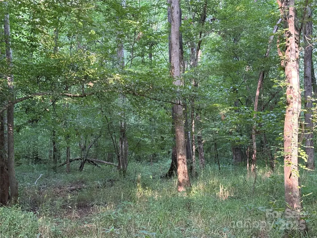 8817 Maggie Robinson Road Waxhaw NC 28173