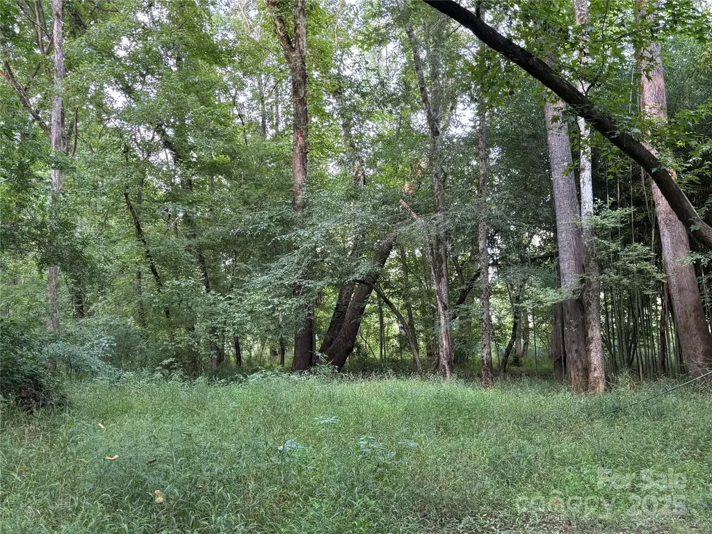 8817 Maggie Robinson Road Waxhaw NC 28173