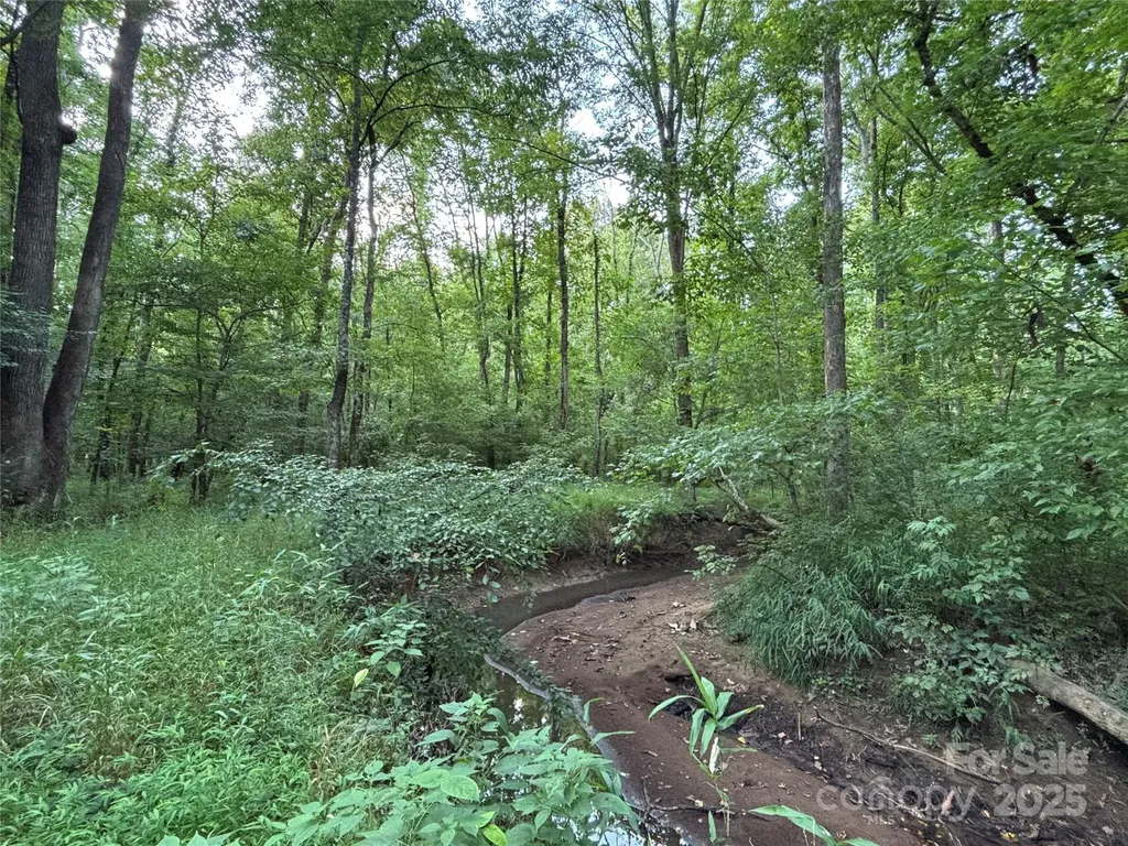 8817 Maggie Robinson Road Waxhaw NC 28173