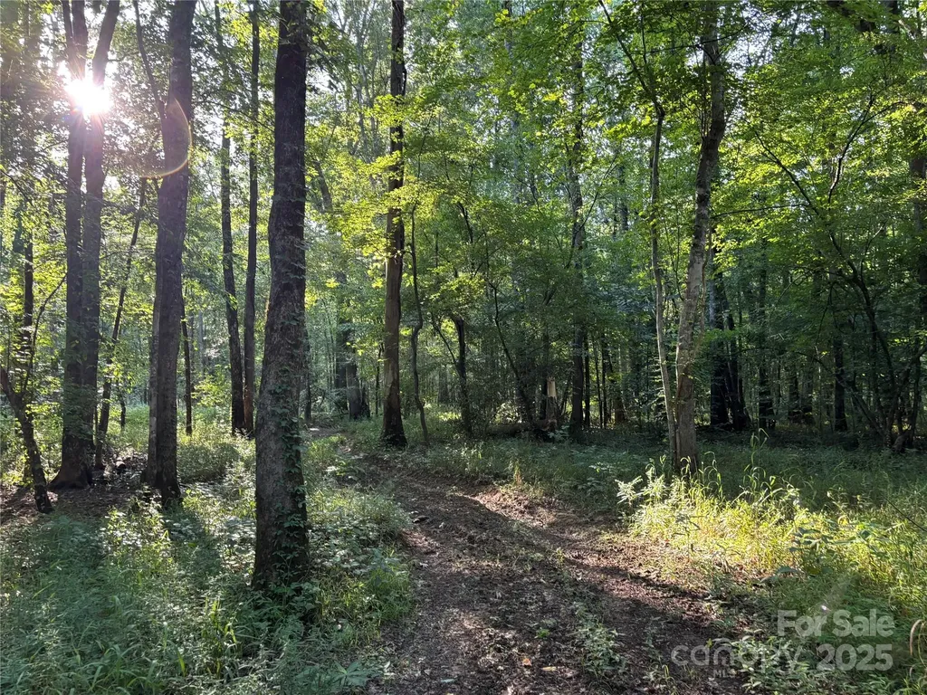 8817 Maggie Robinson Road Waxhaw NC 28173