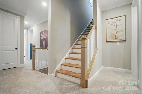 12119 Lavinia Lane Charlotte NC 28277