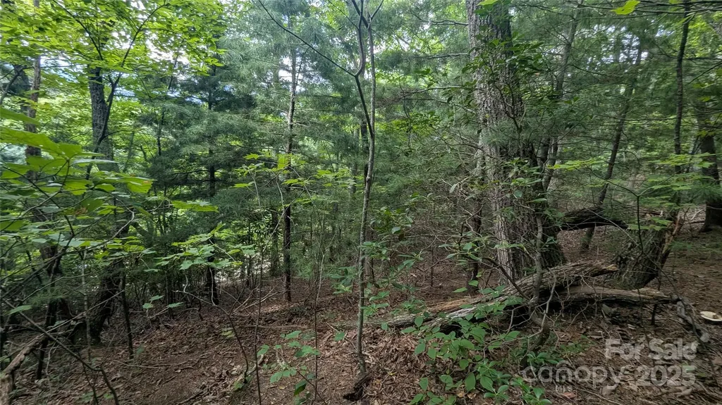 00 Pinewood Drive Waynesville NC 28786