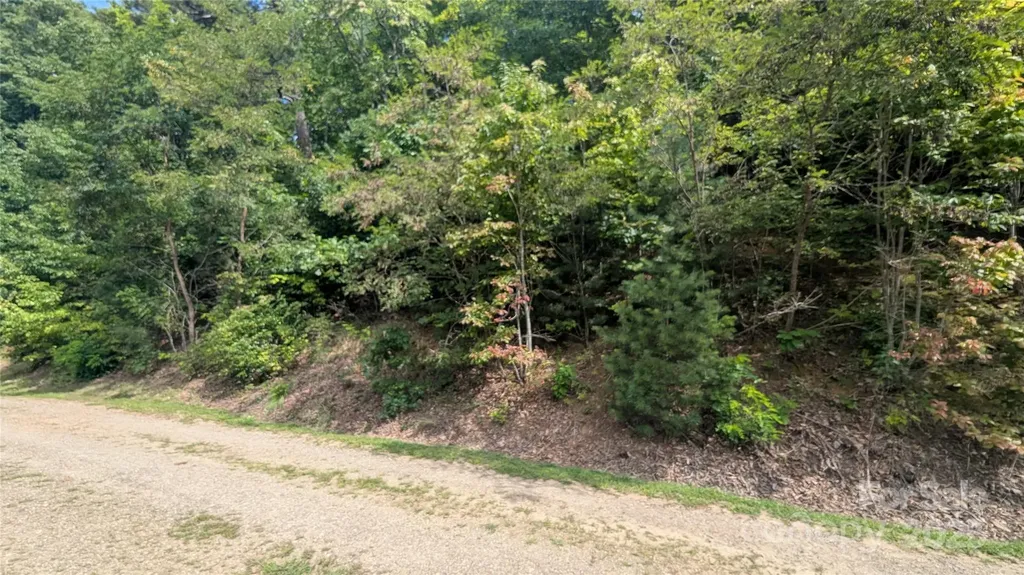 00 Pinewood Drive Waynesville NC 28786
