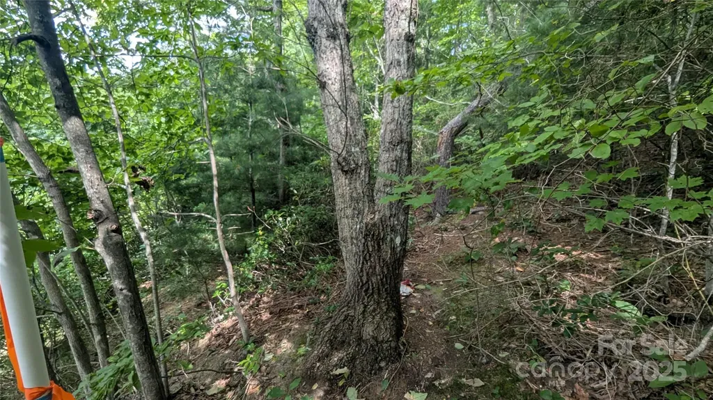 00 Pinewood Drive Waynesville NC 28786