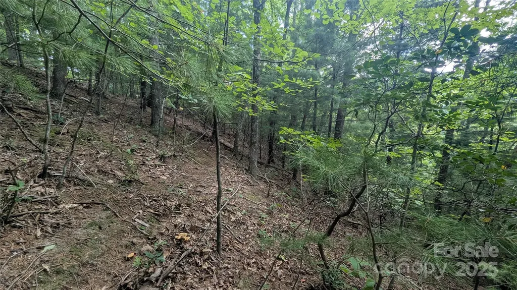 00 Pinewood Drive Waynesville NC 28786