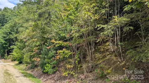 00 Pinewood Drive Waynesville NC 28786