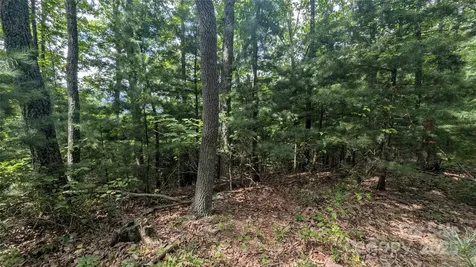 00 Pinewood Drive Waynesville NC 28786