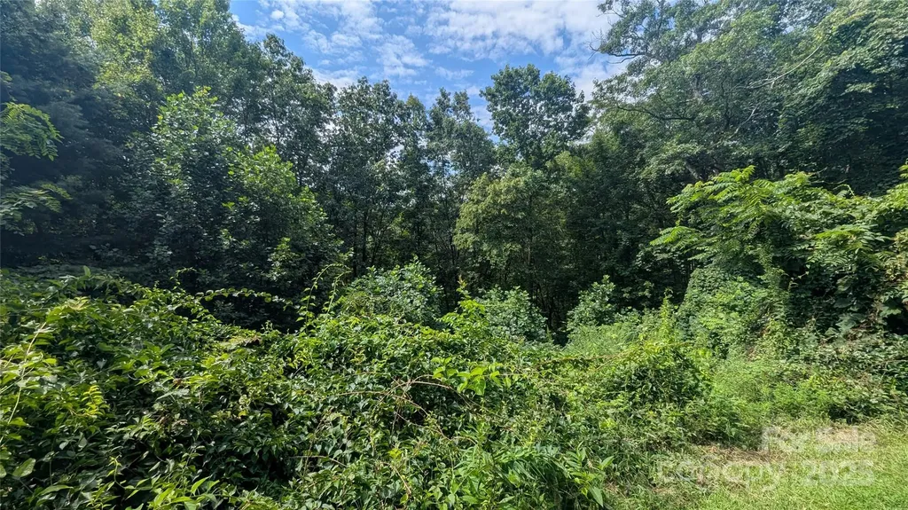 00 Pinewood Drive Waynesville NC 28786
