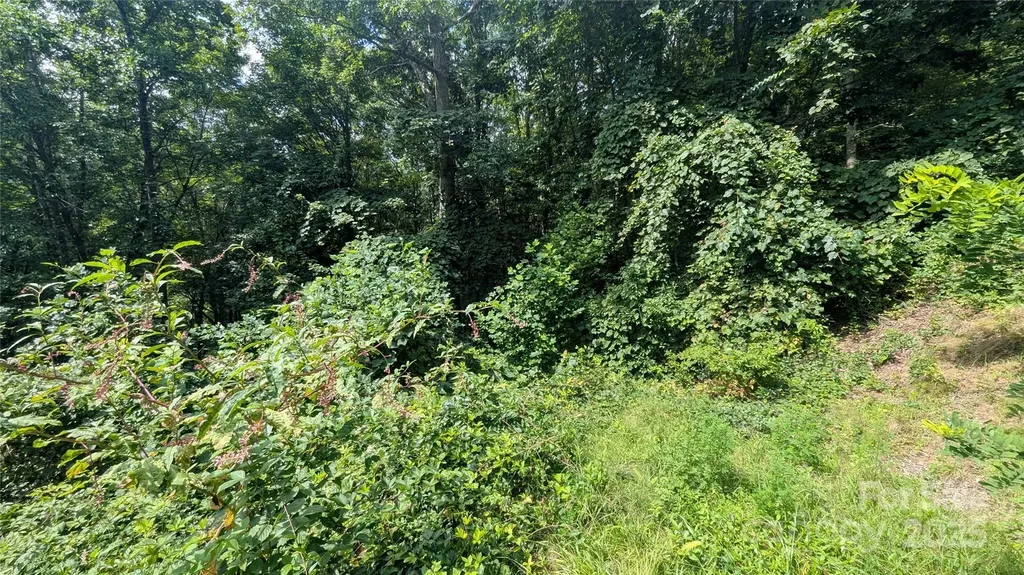 00 Pinewood Drive Waynesville NC 28786