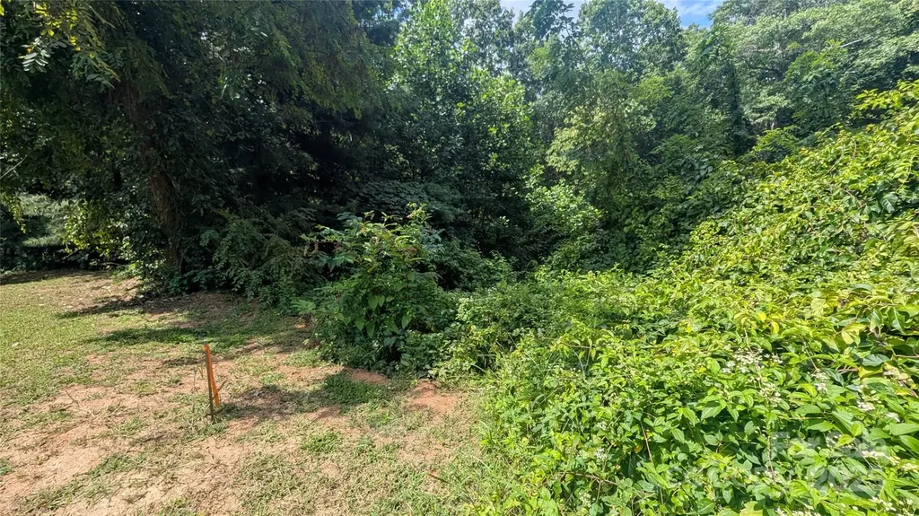 00 Pinewood Drive Waynesville NC 28786
