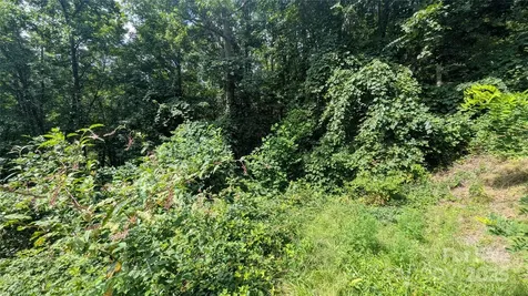 00 Pinewood Drive Waynesville NC 28786