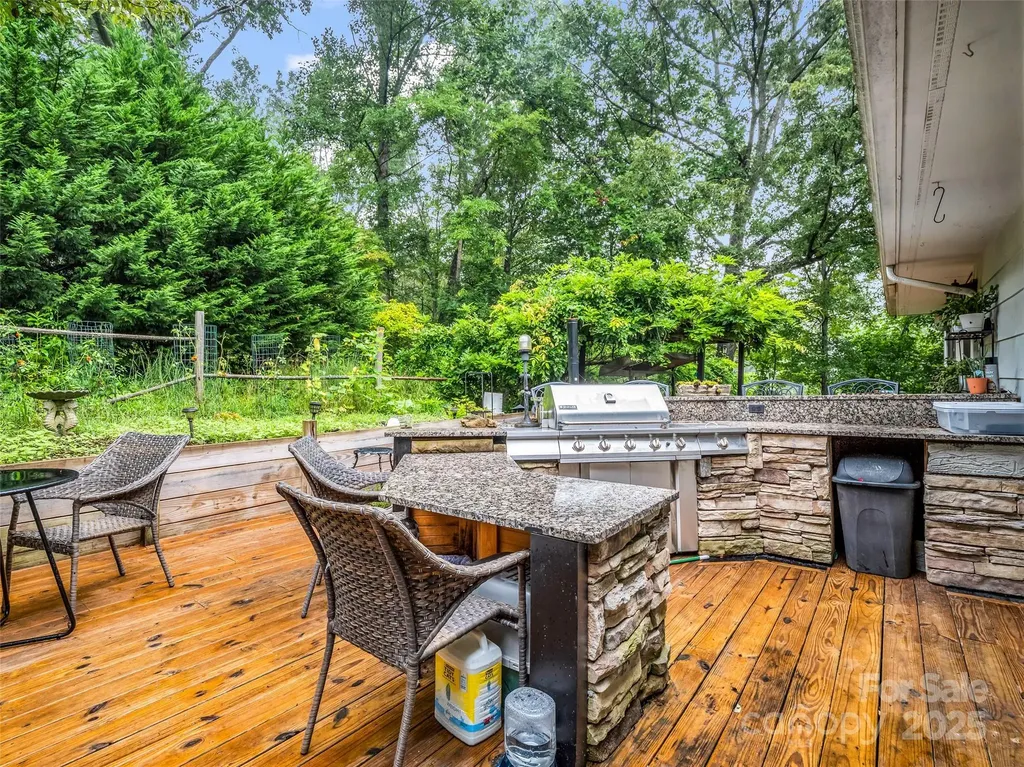 66 Barberry Heights Drive Brevard NC 28712