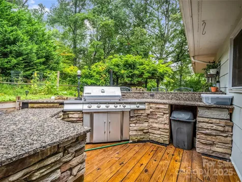 66 Barberry Heights Drive Brevard NC 28712