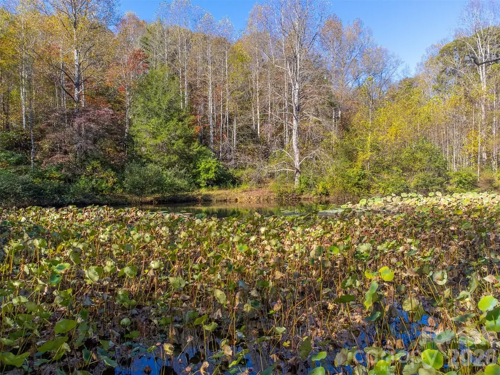 120 Trimont Trail Franklin NC 28734