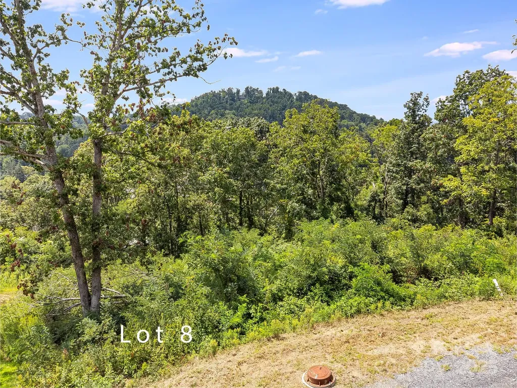 344 Espen Ridge Woodfin NC 28804
