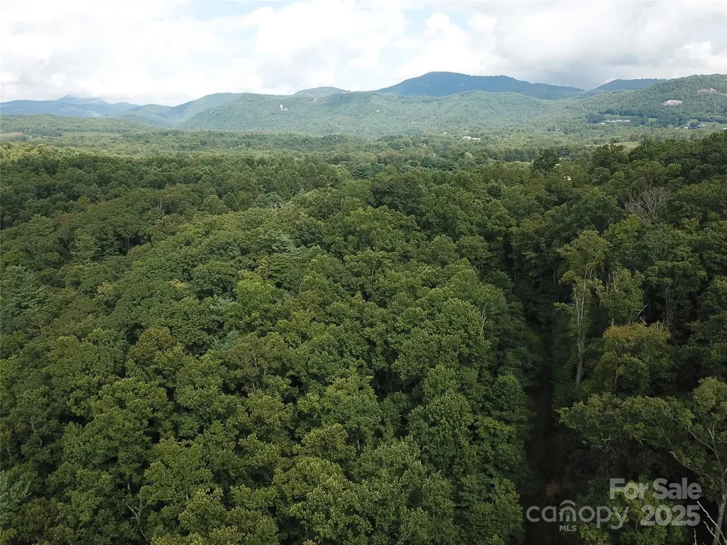 7 Pounding Mill Hendersonville NC 28792