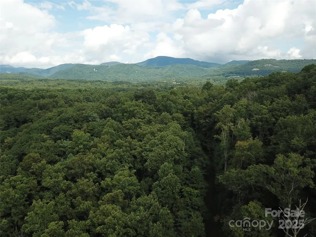 7 Pounding Mill Hendersonville NC 28792