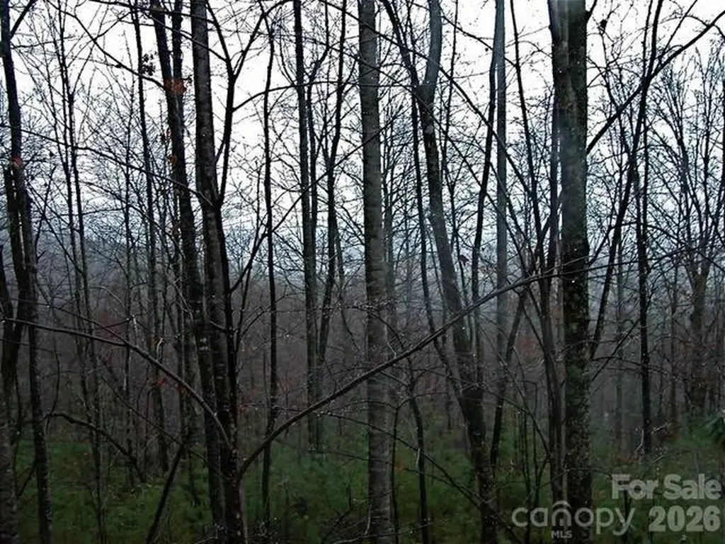 52 Hope View Road Swannanoa NC 28778