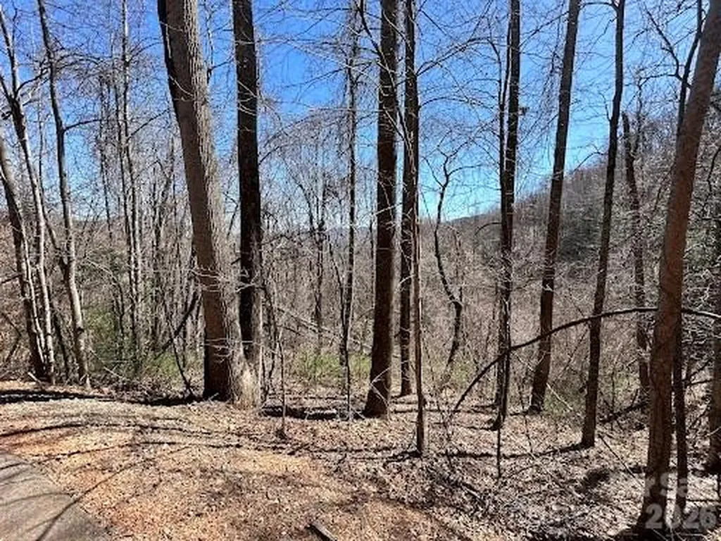52 Hope View Road Swannanoa NC 28778