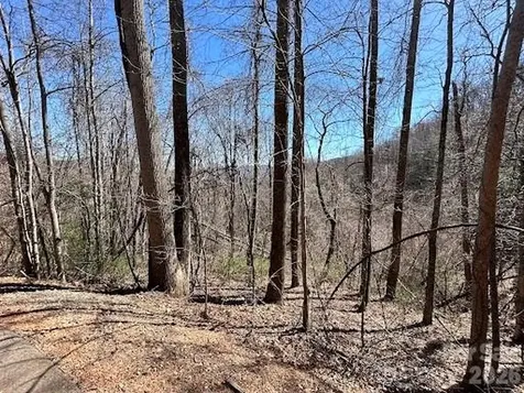 52 Hope View Road Swannanoa NC 28778