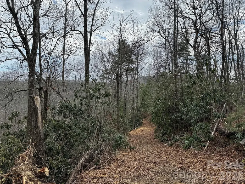 270 S Jarvis Drive Hendersonville NC 28792