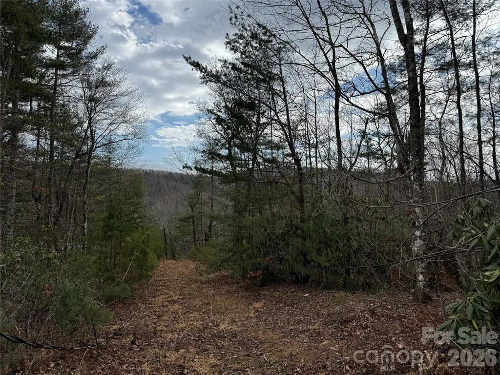 270 S Jarvis Drive Hendersonville NC 28792
