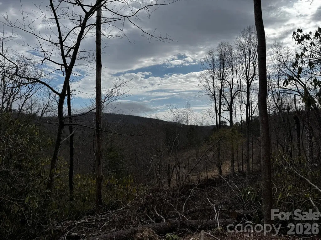 270 S Jarvis Drive Hendersonville NC 28792