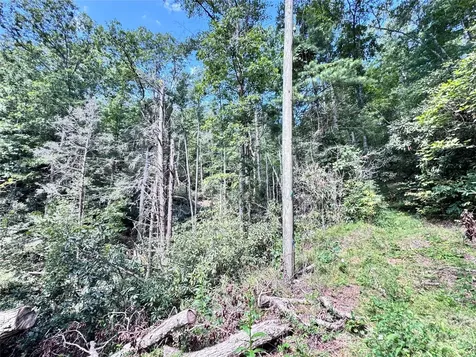 270 S Jarvis Drive Hendersonville NC 28792