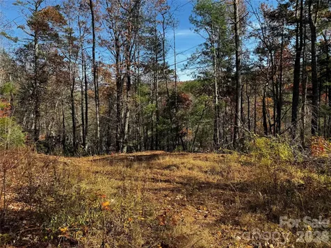 270 S Jarvis Drive Hendersonville NC 28792