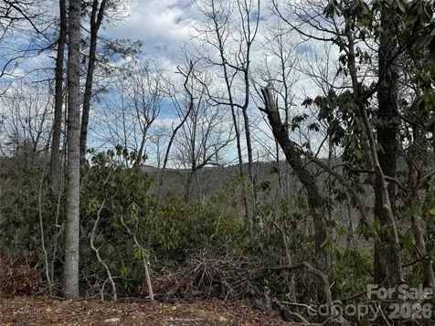 270 S Jarvis Drive Hendersonville NC 28792
