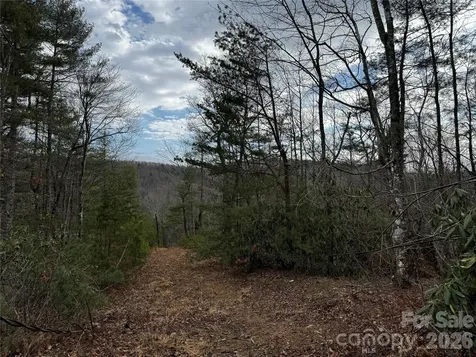 270 S Jarvis Drive Hendersonville NC 28792