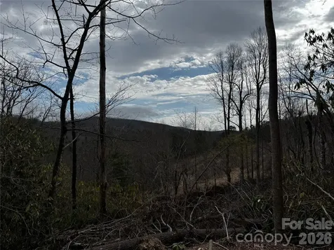 270 S Jarvis Drive Hendersonville NC 28792