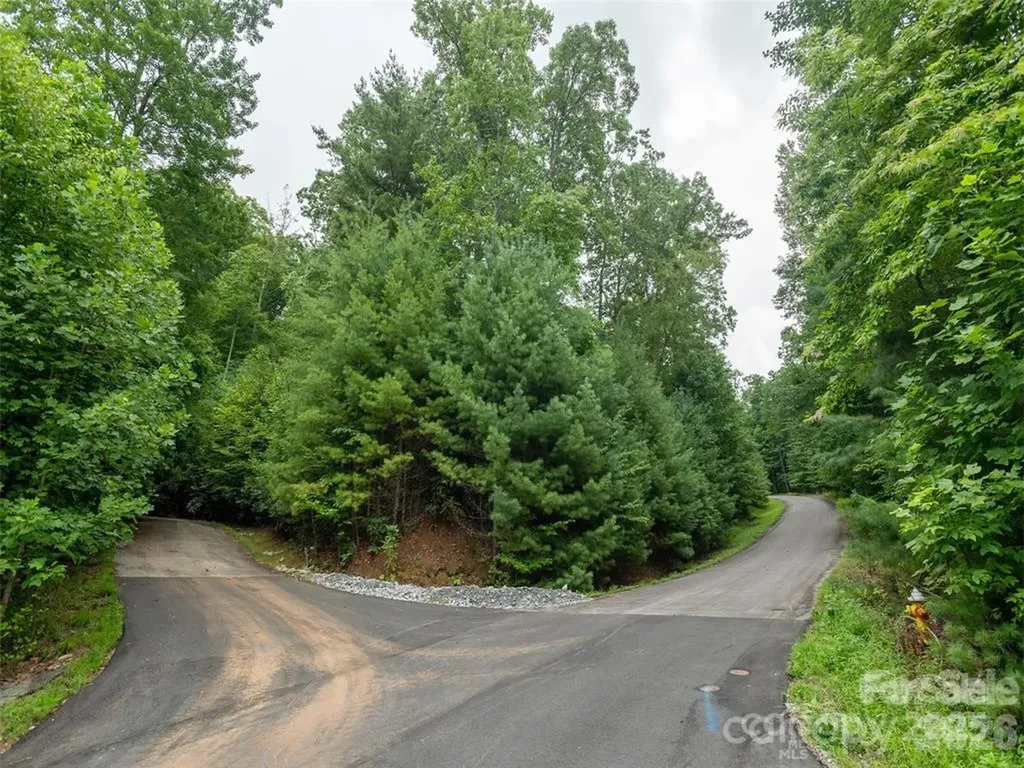 00 Willow Brook Falls Hendersonville NC 28739