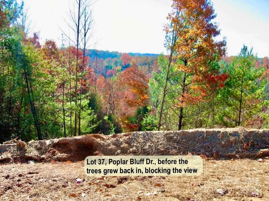 3.31 Acres, Lot 37 Poplar Bluff Drive SE Lenoir NC 28645