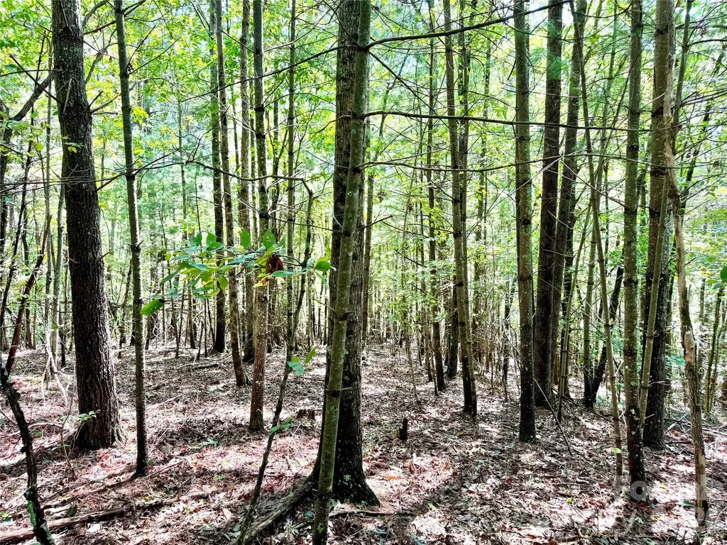 3.31 Acres, Lot 37 Poplar Bluff Drive SE Lenoir NC 28645
