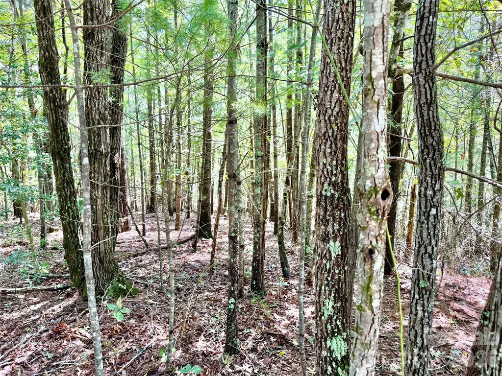 3.31 Acres, Lot 37 Poplar Bluff Drive SE Lenoir NC 28645
