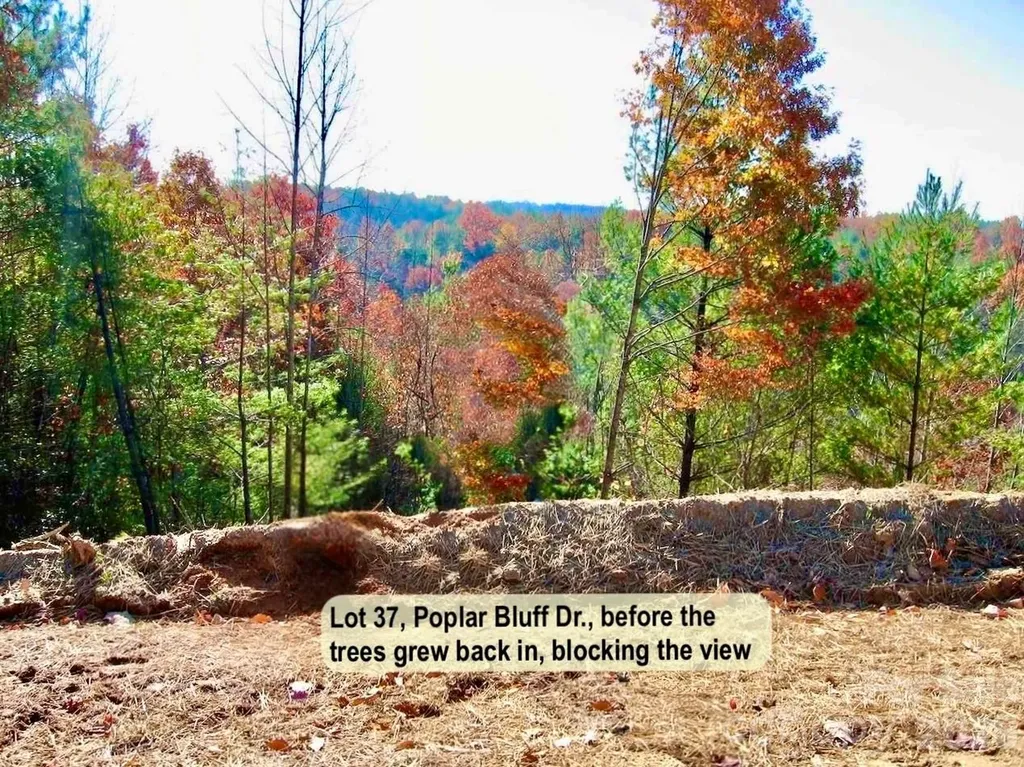 3.31 Acres, Lot 37 Poplar Bluff Drive SE Lenoir NC 28645