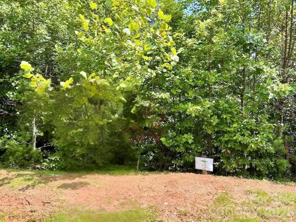3.31 Acres, Lot 37 Poplar Bluff Drive SE Lenoir NC 28645