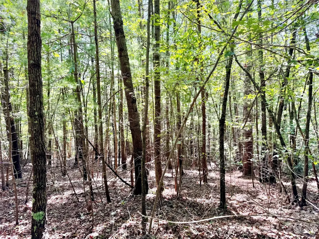 3.31 Acres, Lot 37 Poplar Bluff Drive SE Lenoir NC 28645