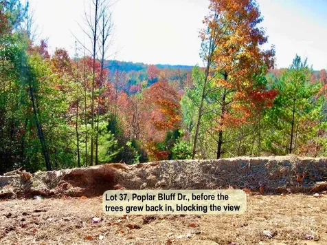 3.31 Acres, Lot 37 Poplar Bluff Drive SE Lenoir NC 28645