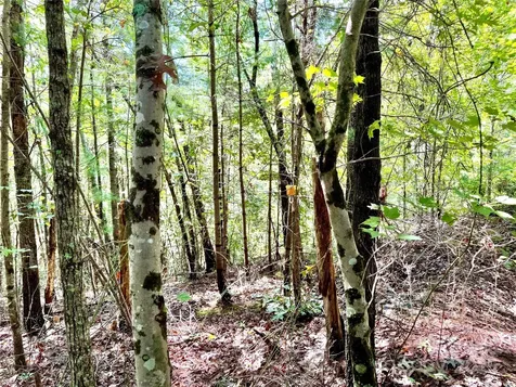 3.31 Acres, Lot 37 Poplar Bluff Drive SE Lenoir NC 28645