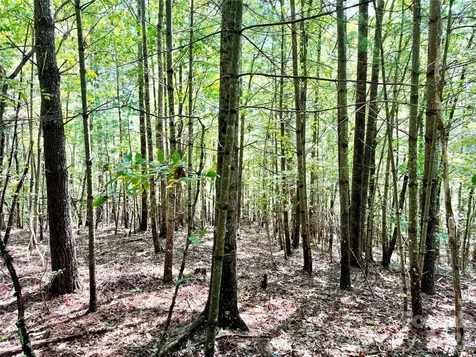 3.31 Acres, Lot 37 Poplar Bluff Drive SE Lenoir NC 28645