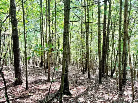3.31 Acres, Lot 37 Poplar Bluff Drive SE Lenoir NC 28645