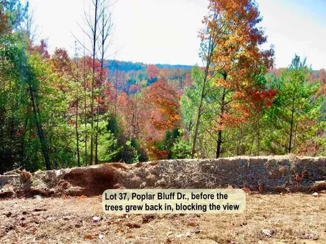 3.31 Acres, Lot 37 Poplar Bluff Drive SE Lenoir NC 28645