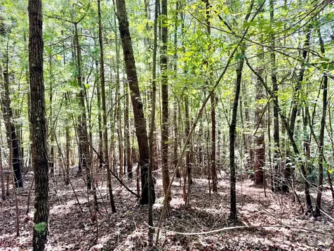 3.31 Acres, Lot 37 Poplar Bluff Drive SE Lenoir NC 28645