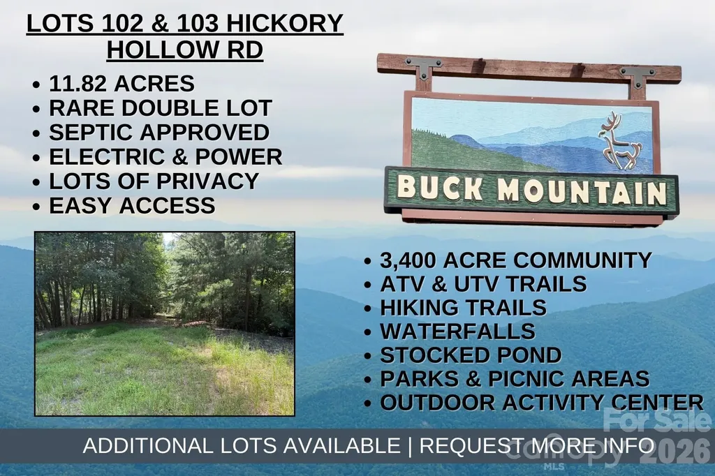 Tbd Hickory Hollow Road Purlear NC 28665