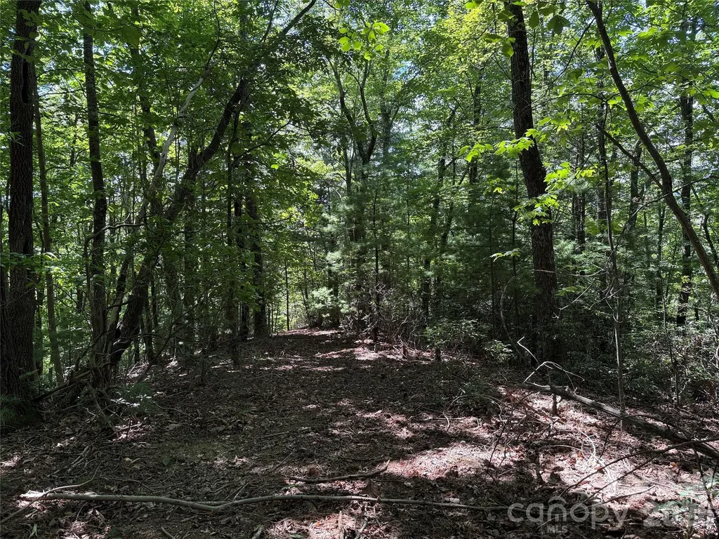 Tbd Hickory Hollow Road Purlear NC 28665